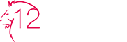 12 Löwen | Wir inszenieren Ereignisse